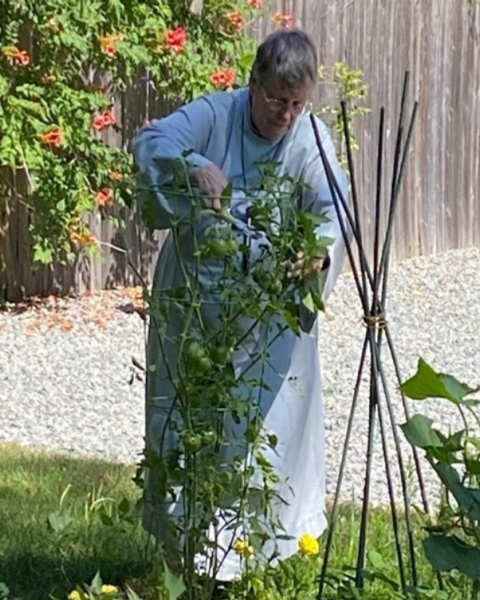 Sr. Christine: "Pruning in the garden encourages stronger plant growth...