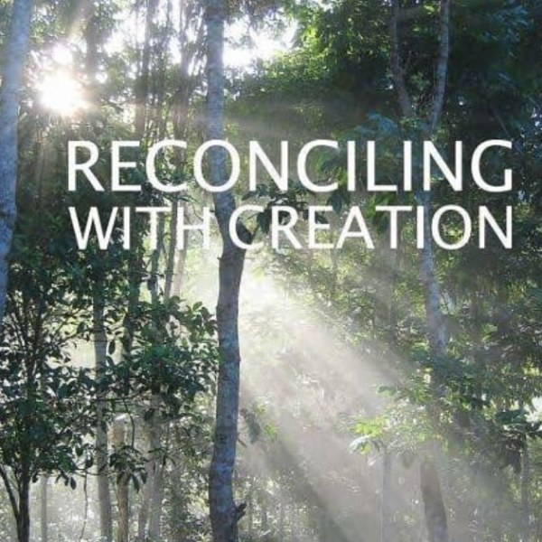 Reconciling with Creation