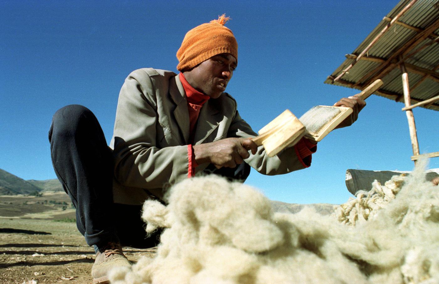 Ethiopia wool farmer