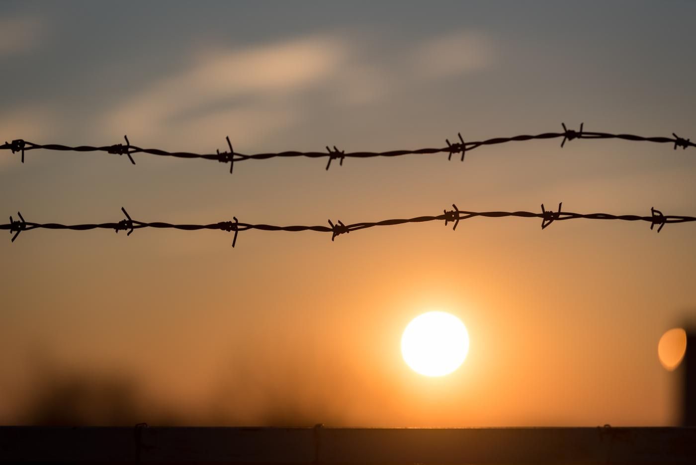 Barbed wire against sunset. 