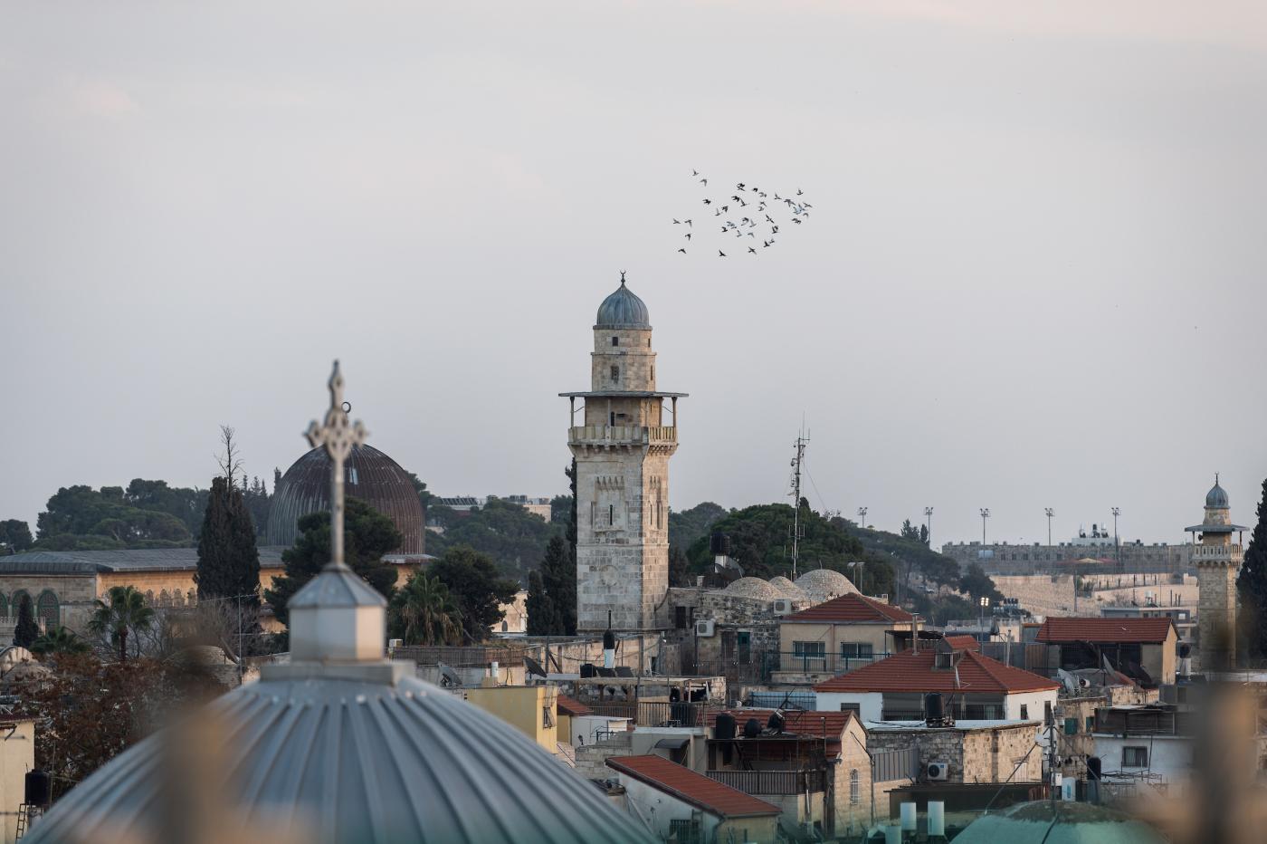 A flock of birds flies over Jerusalem. 
