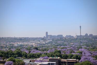 View over Johannesburg, South Africa, with jacarandas blooming.