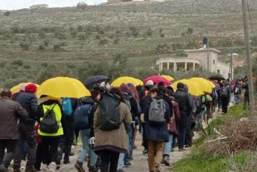 People walking on countryside road amid green fields, many carrying yellow umbrellas. 