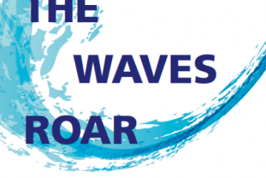 Let the waves roar book cover
