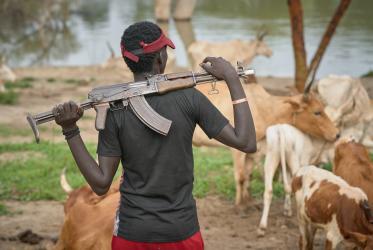 A cattle keeper with a rifle