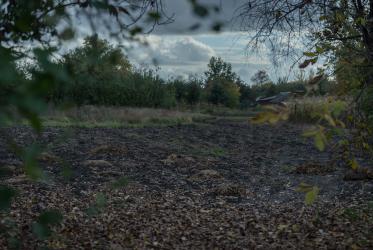 Land plot in Ukraine