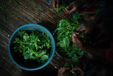 Greens being prepared for lunch in Okhika village, Pegunungan Bintang regency, West Papua.