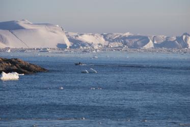 Calved glacier ice in Ilulissat, Greenland. Photo: Claus Grue/WCC